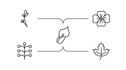 Poster - nature outline icons set. thin line icons such as lavender, wallflower, calla, mimosa, maple vector.