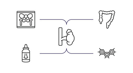 Poster - medical outline icons set. thin line icons such as x ray of bones, colon, adrenal gland, l, three he