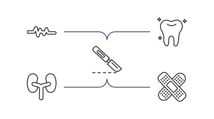 Poster - medical outline icons set. thin line icons such as lifeline, teeth, scalpel, kidneys, plaster vector.