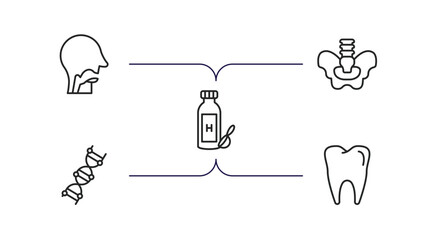 Poster - medical outline icons set. thin line icons such as pharynx, pelvic area, syrup medicine bottle, medical chain of dna, molar tooth vector.