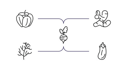 Poster - fruits and vegetables outline icons set. thin line icons such as paprika, ginger, beetroot, dill, eggplant vector.