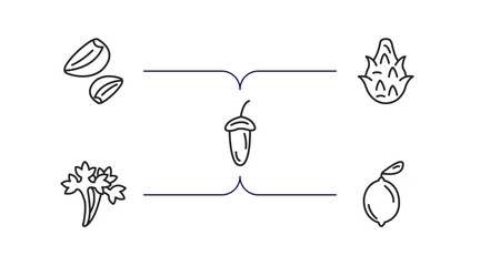 Poster - fruits and vegetables outline icons set. thin line icons such as garlic, dragon fruit, acorn, parsley, lemon vector.