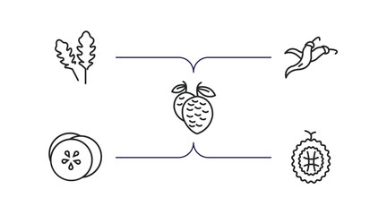 Poster - fruits and vegetables outline icons set. thin line icons such as arugula, chili, lychee, cucumber, durian vector.