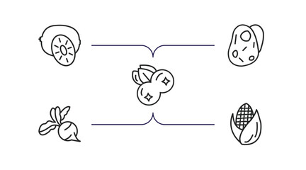 Poster - fruits and vegetables outline icons set. thin line icons such as kiwi, potatoes, blueberry, radish, corn vector.