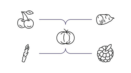 Poster - fruits and vegetables outline icons set. thin line icons such as cherry, sweet potato, pumpkin, asparagus, raspberry vector.