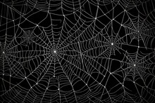 Spider Web With Dew Drops  
Created Using Generative AI Tools