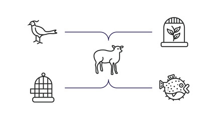 Poster - animals outline icons set. thin line icons such as pheasant, herpetarium, lamb side view, cage, blowfish vector.