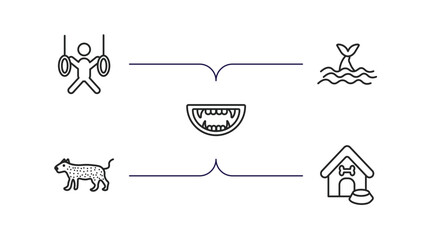 Poster - animals outline icons set. thin line icons such as trapeze artists, whale zone, monster mouth, leopard, doghouse vector.