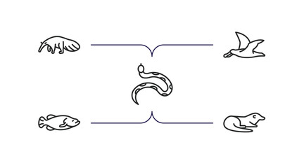 Poster - animals outline icons set. thin line icons such as anteater, albatross, copperhead, big fish, otter vector.