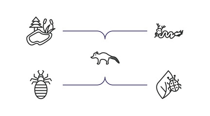 Poster - animals outline icons set. thin line icons such as pond, japanese dragon, coati, louse, bug on leaf vector.