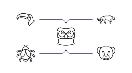 Poster - animals outline icons set. thin line icons such as big toucan, panther, big owl, big bug, weasel vector.