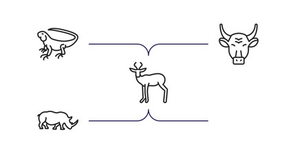 Poster - animals outline icons set. thin line icons such as salamander, iguana, bull, antelope, rhinoceros vector.