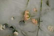Pale Orange And White Roses Lying In Bathtub Filled With Water And Foam, Directly Above View 