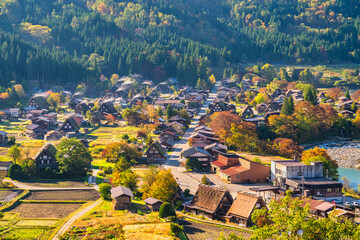 Sticker - Shirakawago village Gifu Japan, Historical Japanese traditional Gassho house at Shirakawa village in autumn foliage season