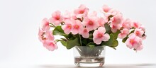 A Close-up Image Of Pink Primroses In A Transparent Glass Vase On A White Background, Representing Spring. The Background Is Festive, With Selective Focus And Copy Space Available.