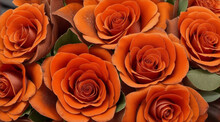 Closeup Shot Of A Luxurious Bouquet Of Orange And Brown Roses On A Black. Generative AI.