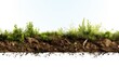 Soil ground or underground layers, grass, land and earth texture.