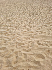 Wall Mural - 
A close-up of the sand on the beach. 