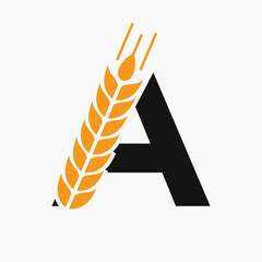 Wall Mural - Letter A Wheat Logo For Agriculture Symbol Vector Template