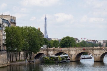 Wall Mural - bridge over the river