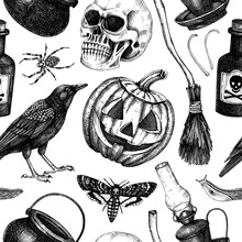 Halloween Background. Skull,  Potions, Pumpkin Head, Moth. Slugs, Raven Sketches. Hand Drawn Witchcraft Repeating Texture. Magic Seamless Pattern. Halloween Design, Print, Decoration, Textile