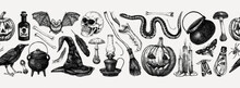 Vintage Halloween Vector Border. Skull, Bones, Pumpkin, Poisonous Mushrooms, Snakes, Raven Sketches. Hand Drawn Witchcraft Background. Seamless Pattern For Magic Design, Decoration, Print