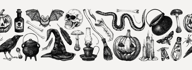 Vintage Halloween vector border. Skull, bones, pumpkin, poisonous mushrooms, snakes, raven sketches. Hand drawn witchcraft background. Seamless pattern for magic design, decoration, print