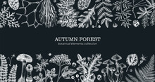 Hand Drawn Autumn Forest Background. Vintage Banner With Ferns, Mushrooms, Fall Leaves And Autumn Plant Sketches. Botanical Design Template In Engraved Style. Vector Illustration Onchalkboard