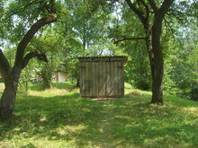 Rural Wooden Latrine Between Two Trees