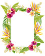 Tropical flowers frame. Watercolor painting with  Hibiscus rose, strelitzia, frangipani and palm leaves isolated on white background. Floral summer border.
