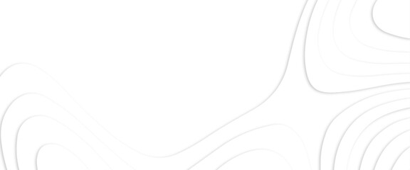 Poster - Abstract White paper cut background with lines, soft smooth lines curving abstract white paper cut banner, geometric layered curve line white vector background, use for banner flyers, posters. 