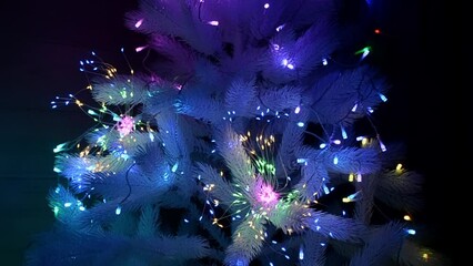 Wall Mural - Christmas Glow Enchanting video of a neon-lit fir tree adorned with lights