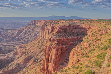 Poster - Canyonlands National Park's Buck Canyon Overlook in the Morning