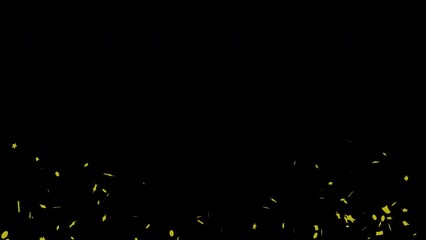 3D animation of exploding confetti Golden Explosion Black, Green and Alpha Matte