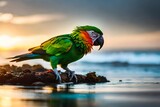 Fototapeta Tęcza - parrot on the beach AI Generated 