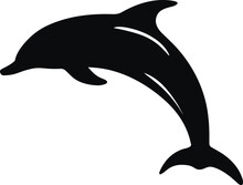 A Silhouette Black And White Dolphin On White Background