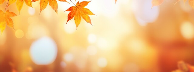 Wall Mural - olorful universal natural autumn background for design with orange leaves and blurred background