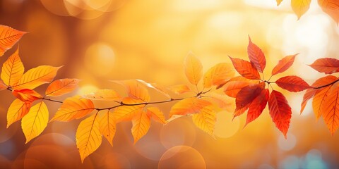 Wall Mural - Colorful universal natural autumn background for design with orange leaves and blurred background