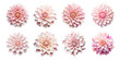 eight pink dahlias, flowers on a white background, vector images, 3d flowers, flowers for stickers, flower stickers set