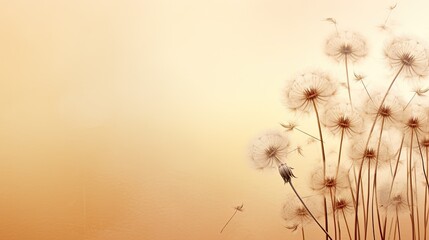 Aufkleber - Dandelion flowers cast a natural shadow on beige paper creating an abstract and decorative composition in pastel shades The neutral nature concept features a blurred backgr