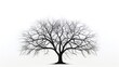© HN Works - Leafless tree isolated on white