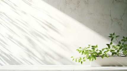 Sunlit branch with green leaves casting shadow on white marble tile wall wood table copy space