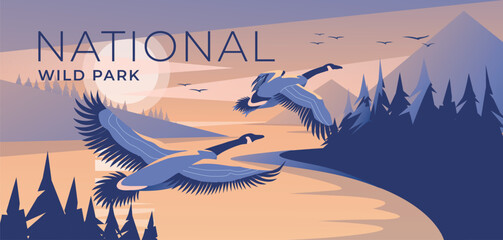 Wall Mural - two canada geese fly to a mountain lake at dusk. Coniferous forest. Wild nature park. The blue color of the sunset. Tourism and travel advertising. Vector illustration