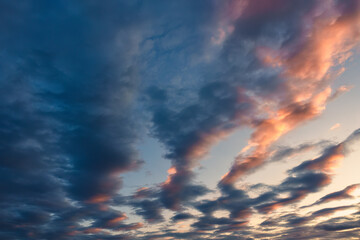 Wall Mural - Fluffy colorful cloud in evening sky