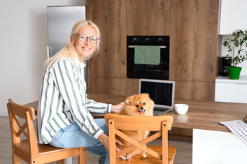 Canvas Print - Mature woman with Pomeranian dog using laptop in kitchen