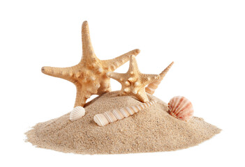 Wall Mural - Beautiful seashells, starfishes and sand on white background