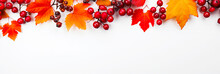 Autumn Leaves And Autumn Fruits On White Background With Copy Space