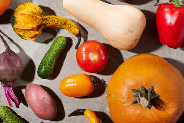 Wall Mural - autumn flat lay on grey background with pumpkins