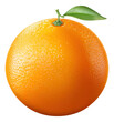 navel orange isolated.