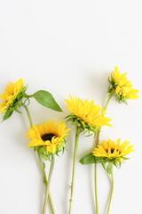 Canvas Print - Sunflowers bouquet close up on gray background. Floral card. Botanical poster